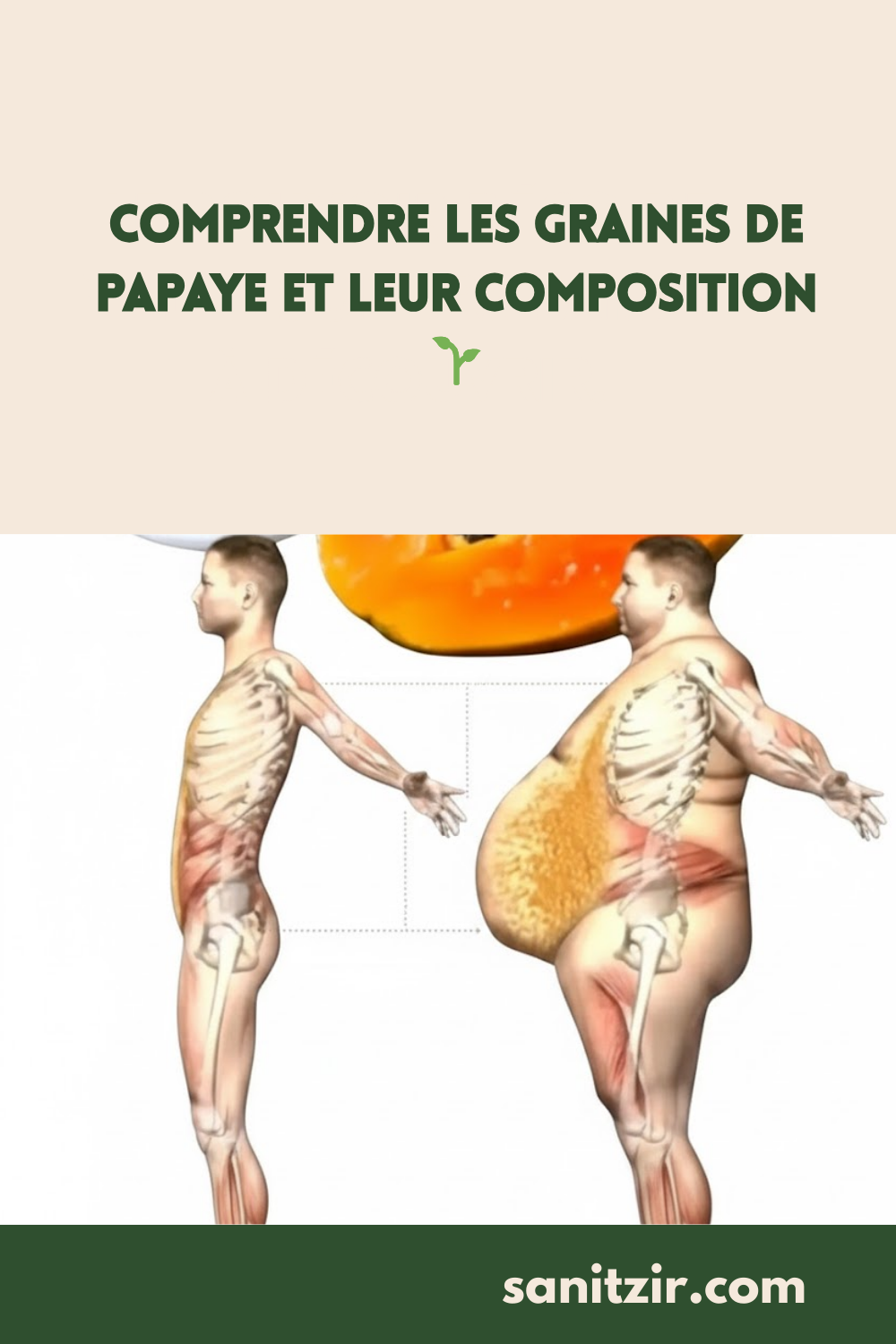 Comment utiliser les graines de papaye pour se soigner naturellement